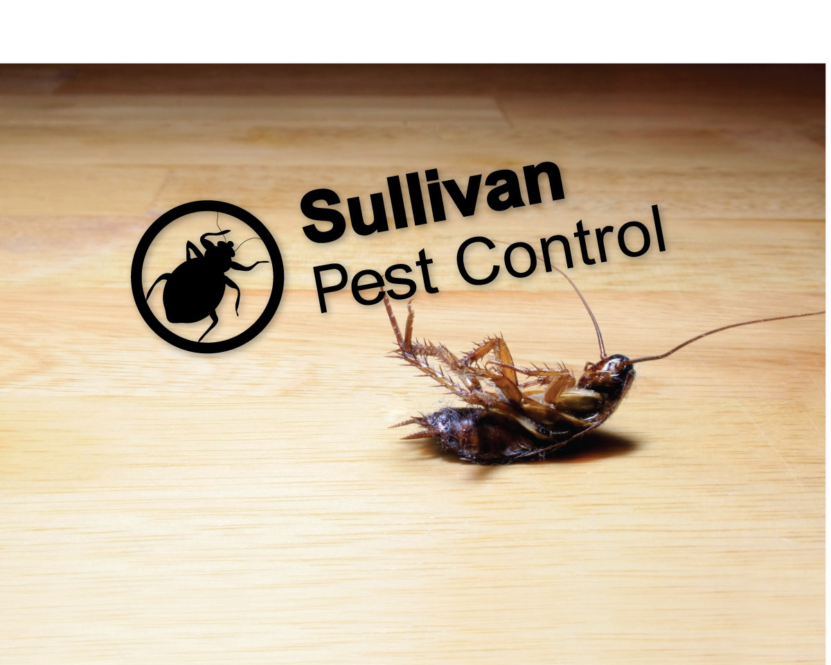 sullivan pest control